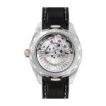 Omega Seamaster Silver Dial Replica - 图片 6